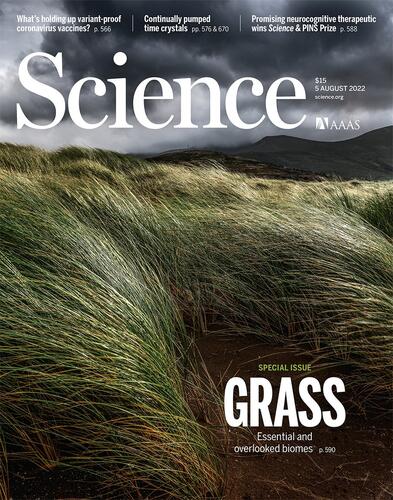 Grass - Essential and Overlooked Biomes - Science Magazine 