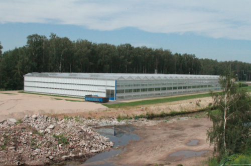 Creative example of collected methane use in a greenhouse in Latvia. Photo: Jon Powell