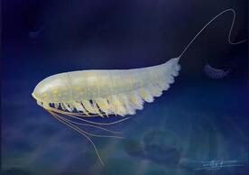 Life reconstruction image of Lomankus edgecombei in its natural marine environment